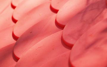 Hosta plastic roof costs