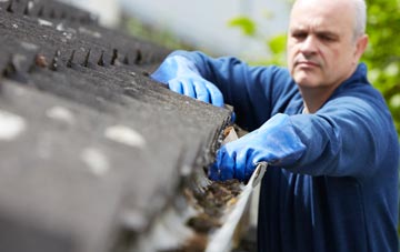cleaning and inspecting Hosta roofs
