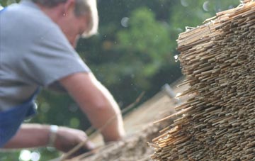 professional Hosta thatchers